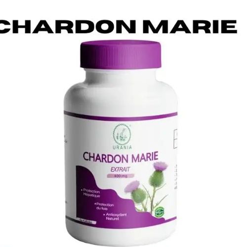 Compléments Alimentaires – Chardon Marie Extrait, Soutien Naturel Du Foie Et Détox