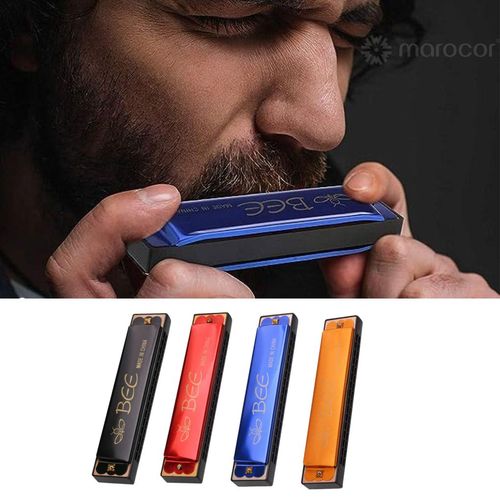 Harmonica 24 Trous Métal Débutants Instrument De Musique - Couleur Aléatoire