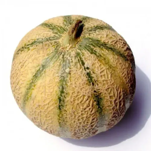 Flora Graines De Melon Cantaloup 5g