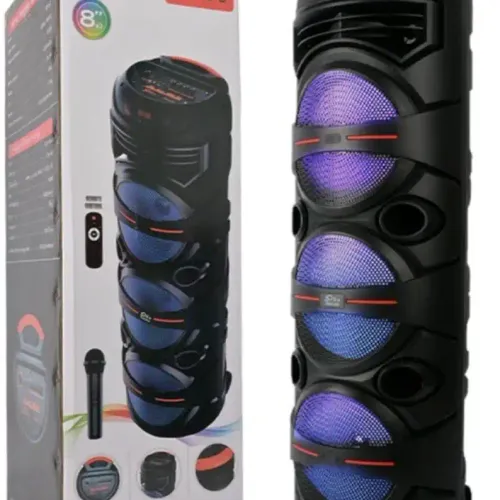 Haut-parleur Portable Bluetooth avec Micro & Karaoke