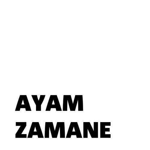 AYAM ZAMANE