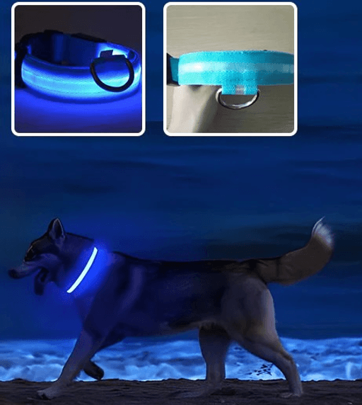 Collier Chien Lumineux Taille M thumbnail 3