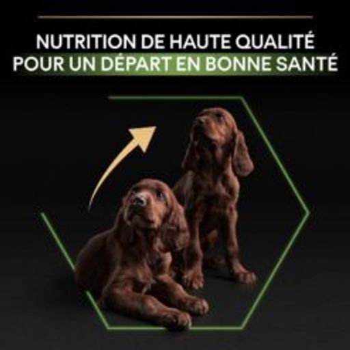 Pro Plan Large Athletic Puppy | 12kg thumbnail 3