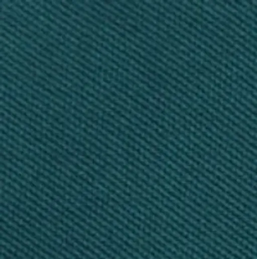 Polo Basique Coupe Regular thumbnail 1