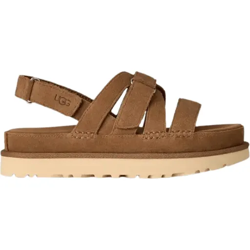 Goldenstar Gleam Chestnut thumbnail 5