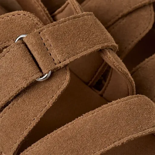 Goldenstar Gleam Chestnut thumbnail 6