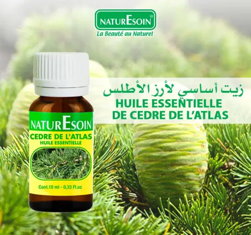 Huile Essentielle Arbre À Thé thumbnail 2