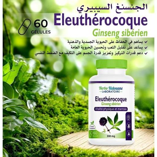 Eleuthérocoque (gin-seng Sibérien) - 300 Mg - 60 Gélules - Vitalité Physique & Mentale thumbnail 1