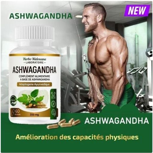 Pack 3×60 Capsules Shilajit Himalaya 300 Mg – Extrait Pur À L’acide Fulvique + Ashwagandha Offert Pour Énergie & Récupération Musculaire thumbnail 3