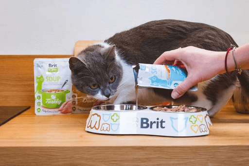 Care Soupe Au Saumon Pour Chats thumbnail 2