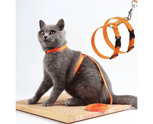 Ensemble Harnais + Laisse Pour Chat thumbnail 3