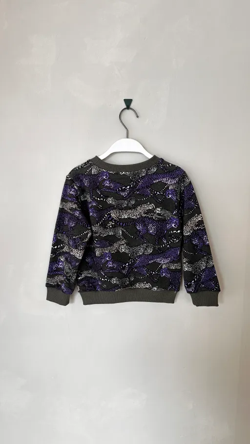Sweat-shirt À Capuche Leo thumbnail 1