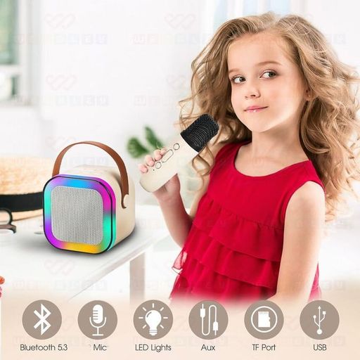 Haut-parleur Bluetooth Karaoké - 2 Microphone Inclus - couleur aléatoire thumbnail 4