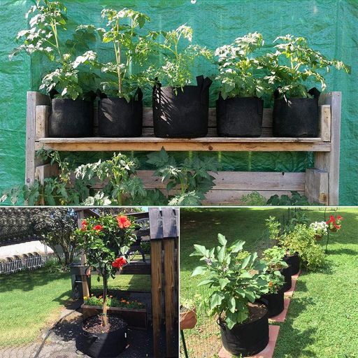 Pot En Tissu, Sac De Culture En Feutre, Capacité De 4 Litres, Jardinage, Horticulture, Croissance Des Plantes, Culture De Légumes, Stimulation De La Croissance, Ensemble De 8 Pièces thumbnail 2